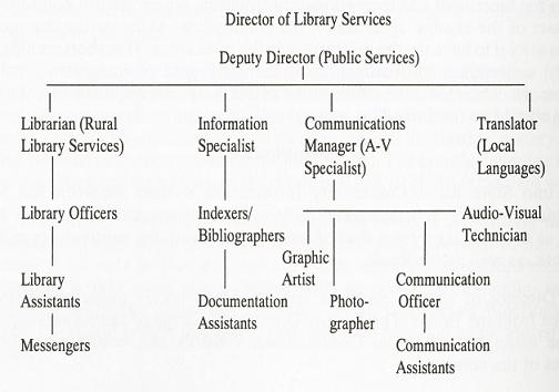 Figure 3: Organizational Structure