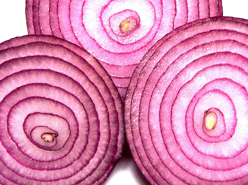 Figure 2: The onion, sliced