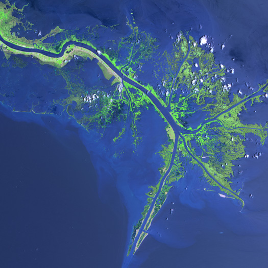 Figure 2: Mississippi River delta